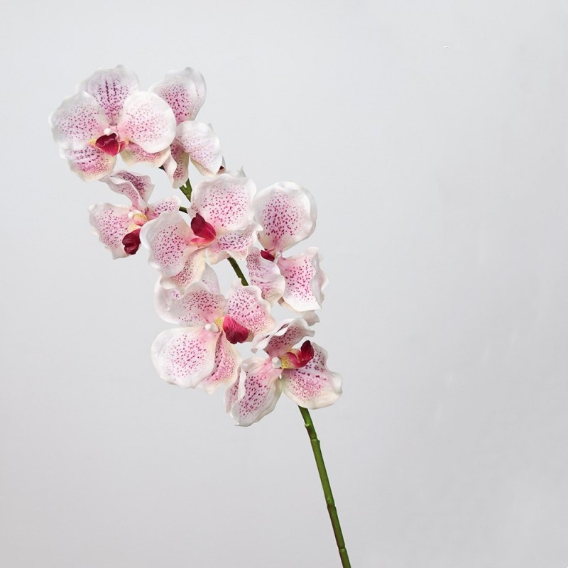 Soft-touch artificial mimics Vanda orchid