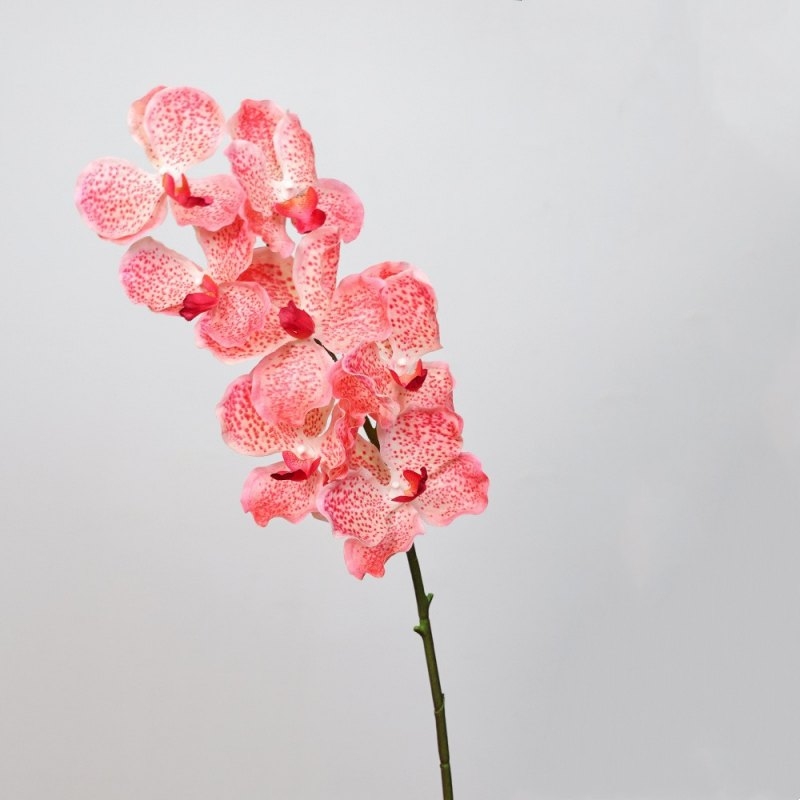 Soft-touch artificial mimics Vanda orchid