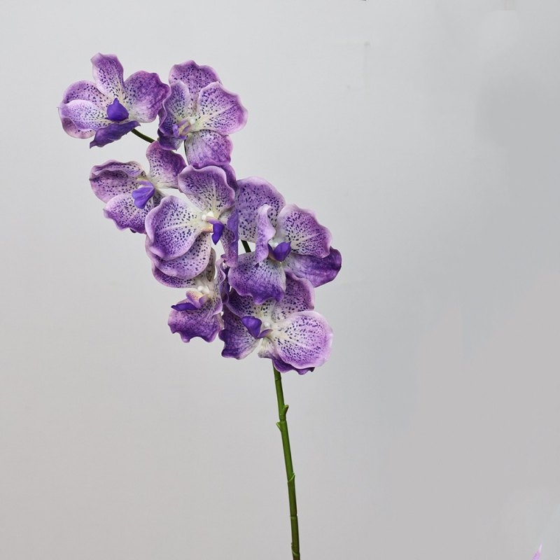 Soft-touch artificial mimics Vanda orchid