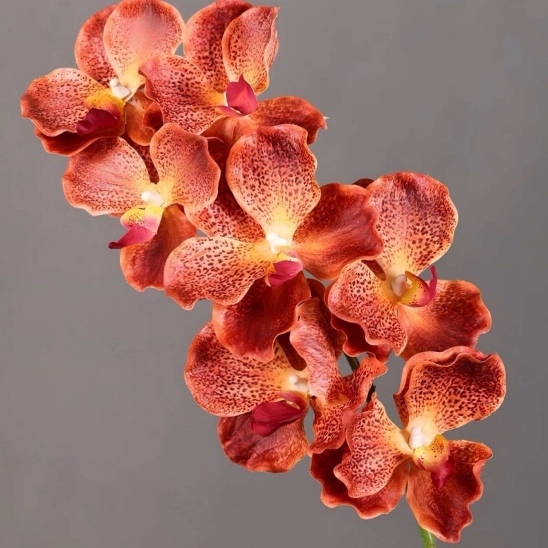 Soft-touch artificial mimics Vanda orchid
