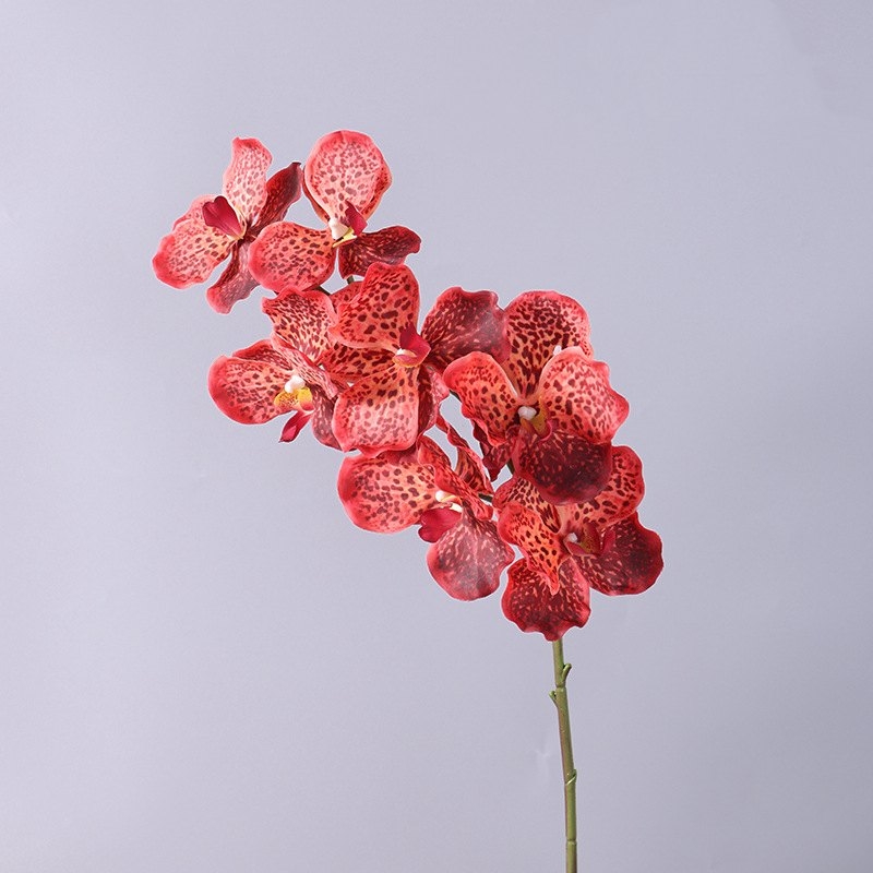 Soft-touch artificial mimics Vanda orchid