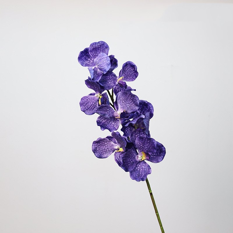 Soft-touch artificial mimics Vanda orchid
