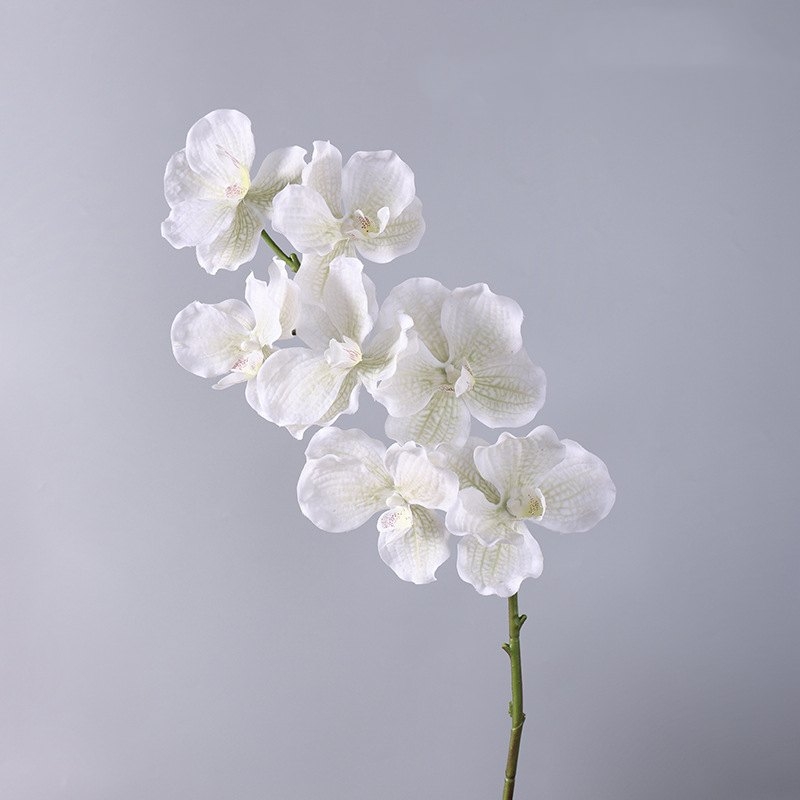 Soft-touch artificial mimics Vanda orchid