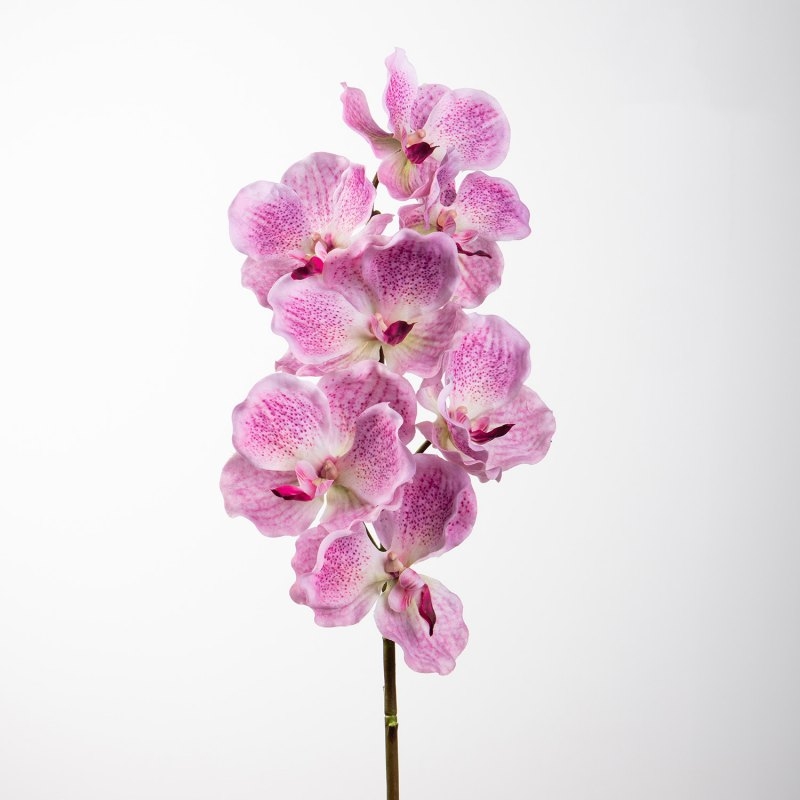 Soft-touch artificial mimics Vanda orchid