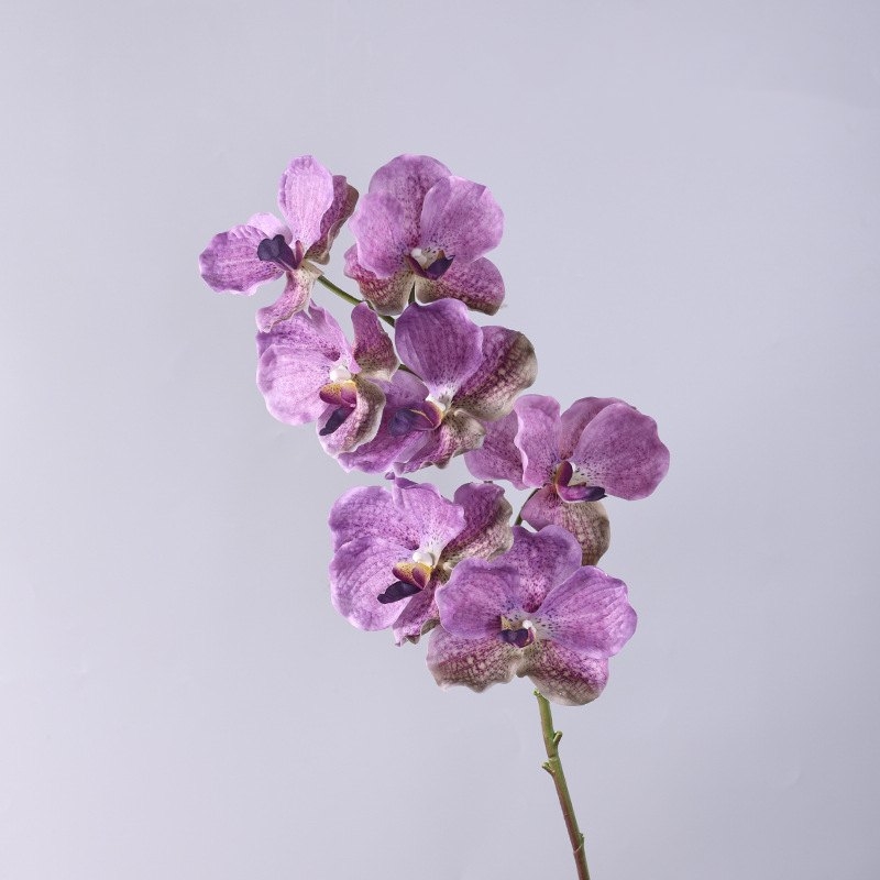 Soft-touch artificial mimics Vanda orchid