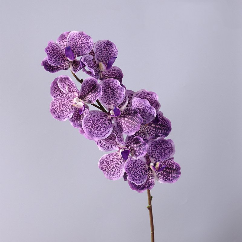 Soft-touch artificial mimics Vanda orchid