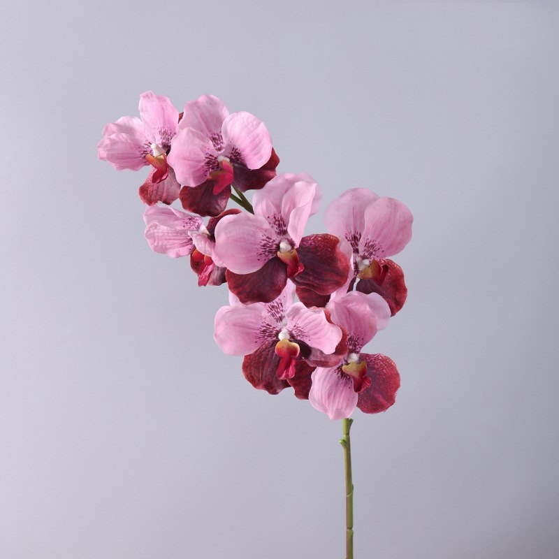 Soft-touch artificial mimics Vanda orchid
