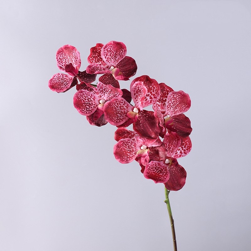 Soft-touch artificial mimics Vanda orchid