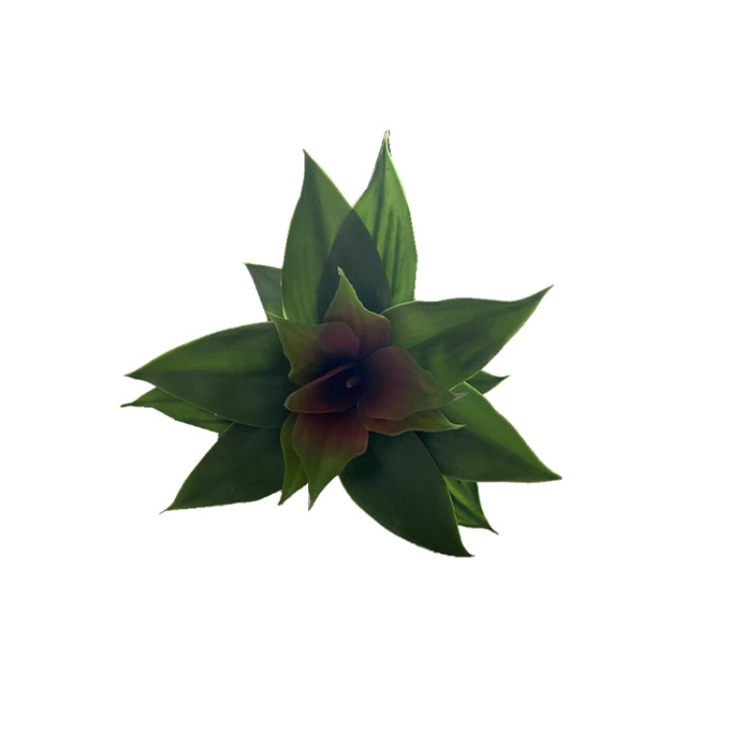 Artificial Agave
