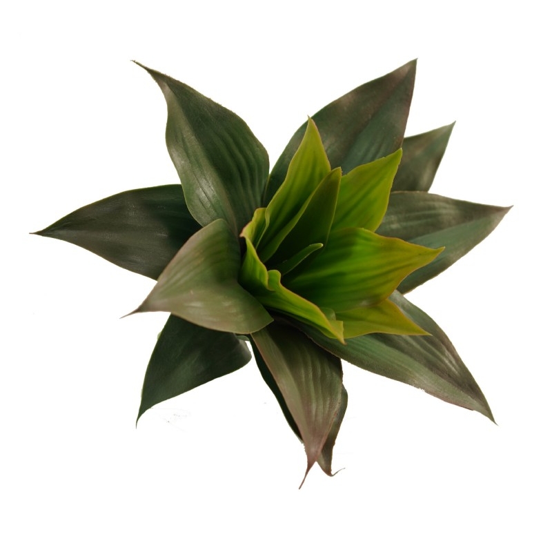 Artificial Agave