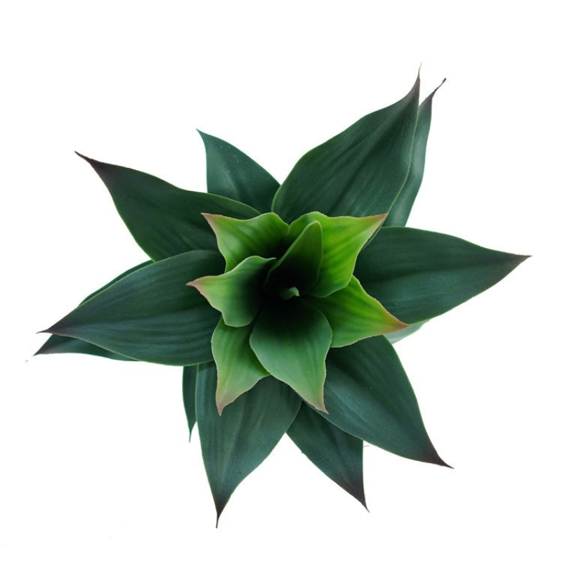Artificial Agave