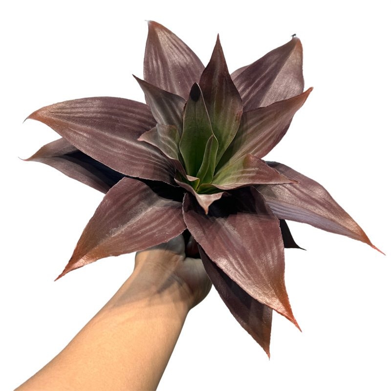 Artificial Agave