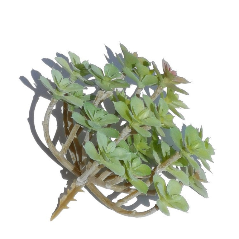 Artificial Sedum Palmeri Succulent