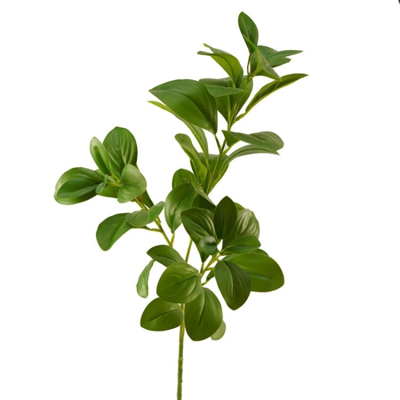Artificial broad bean leaves Wholesale