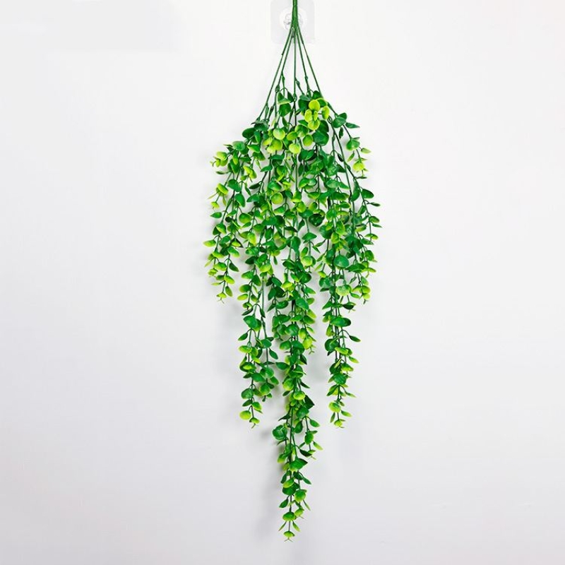 Eucalyptus shaped like Faux vines