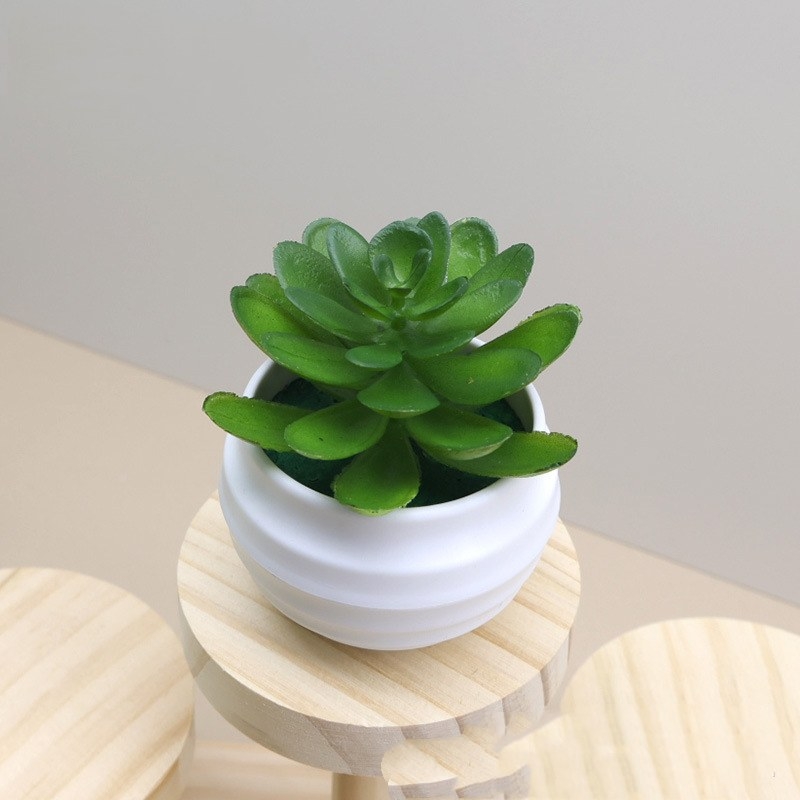 Faux succulent little lotus potted plant