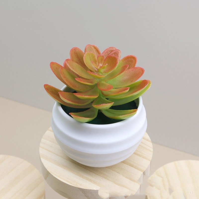 Faux succulent little lotus potted plant