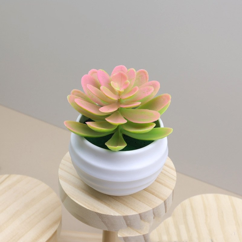 Faux succulent little lotus potted plant