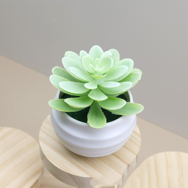 Faux succulent little lotus potted plant