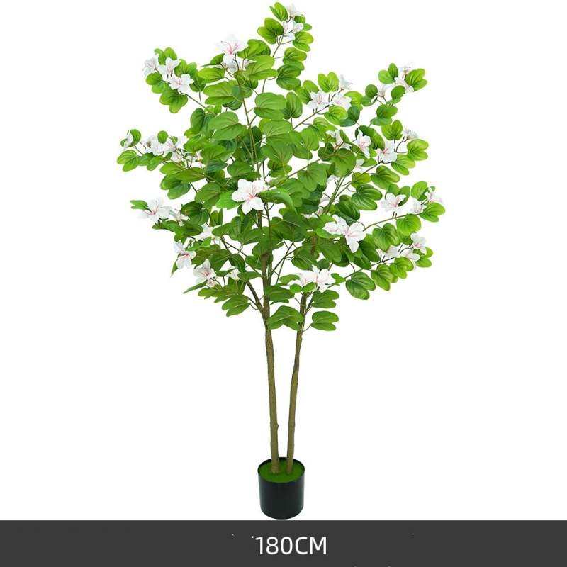 Artificial 120-200cm White Bauhinia Potted Plants