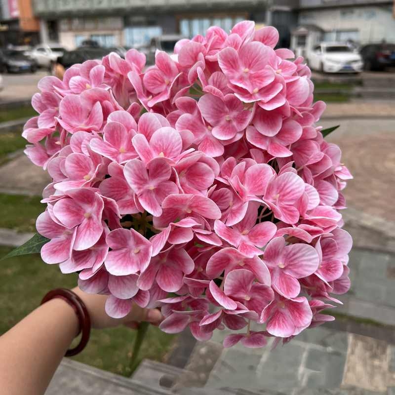 Soft plastic hydrangea