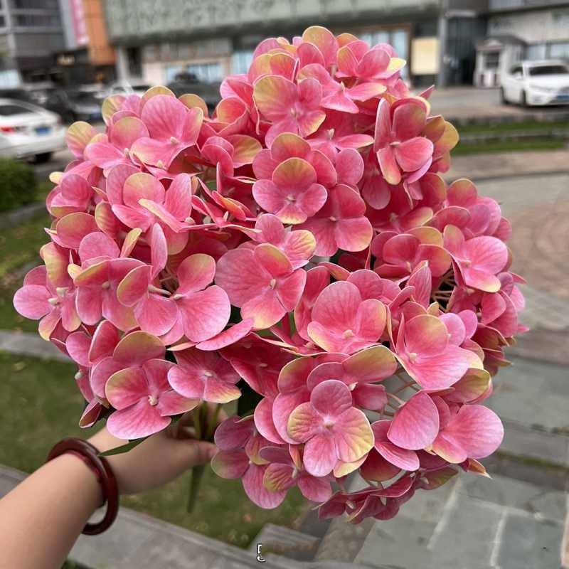 Soft plastic hydrangea