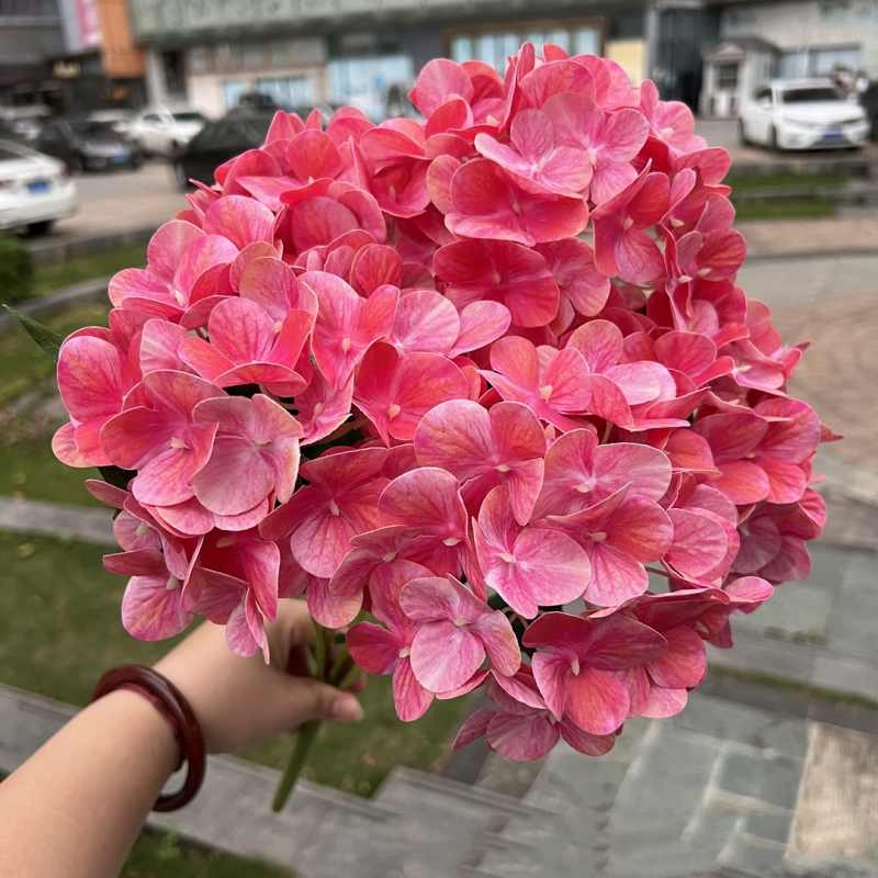 Soft plastic hydrangea
