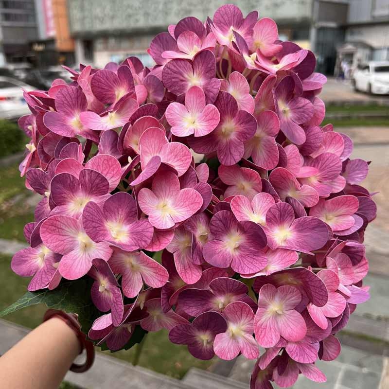 Soft plastic hydrangea
