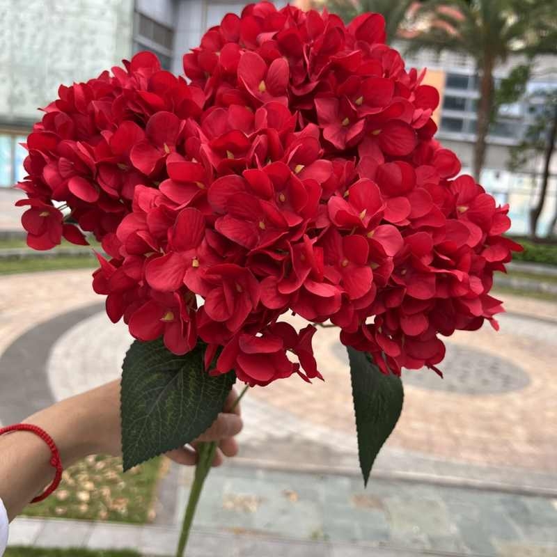 High-grade French hydrangea flowers