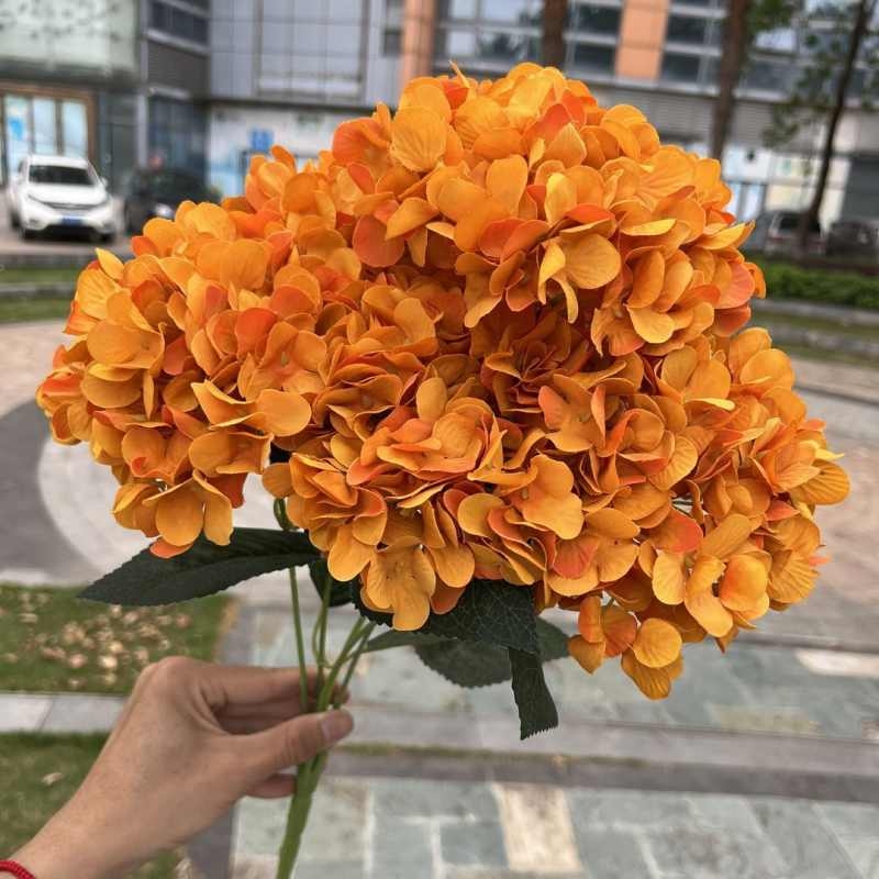 High-grade French hydrangea flowers