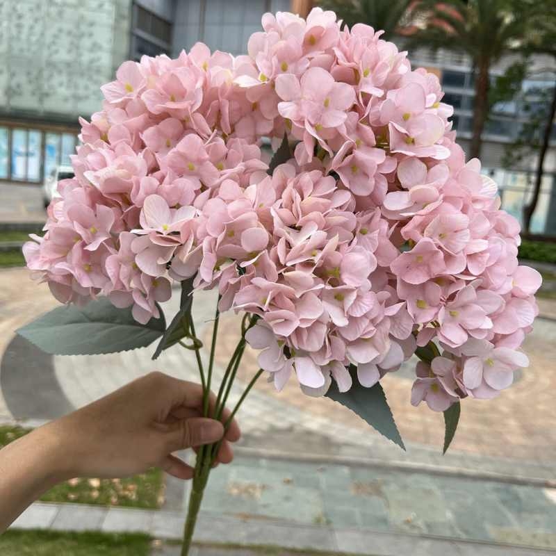 High-grade French hydrangea flowers