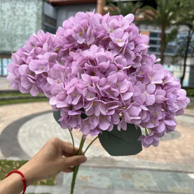 High-grade French hydrangea flowers