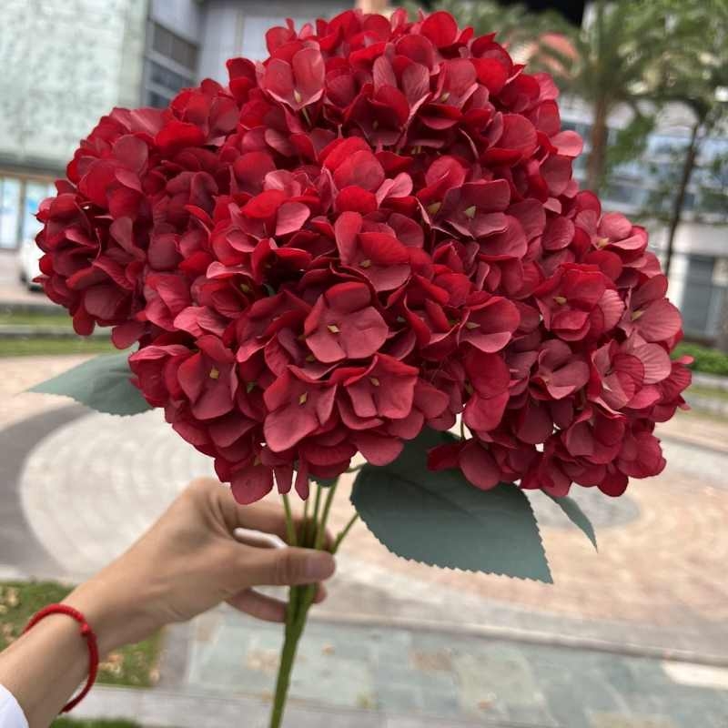 High-grade French hydrangea flowers