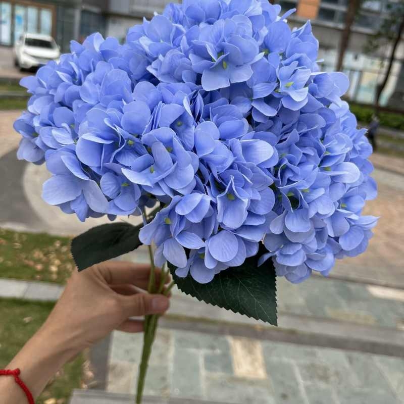 High-grade French hydrangea flowers