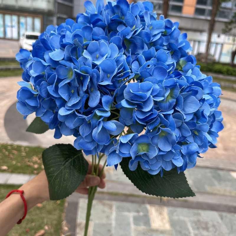 High-grade French hydrangea flowers