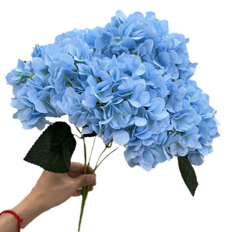 High-grade French hydrangea flowers
