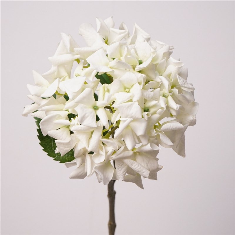Soft-touch single hydrangea stem