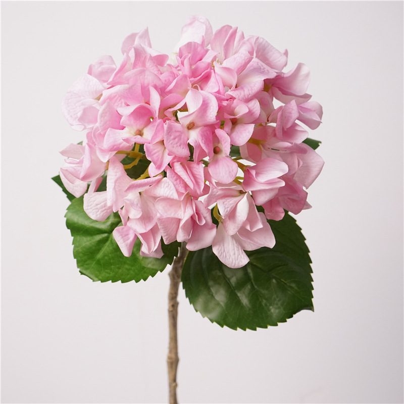 Soft-touch single hydrangea stem