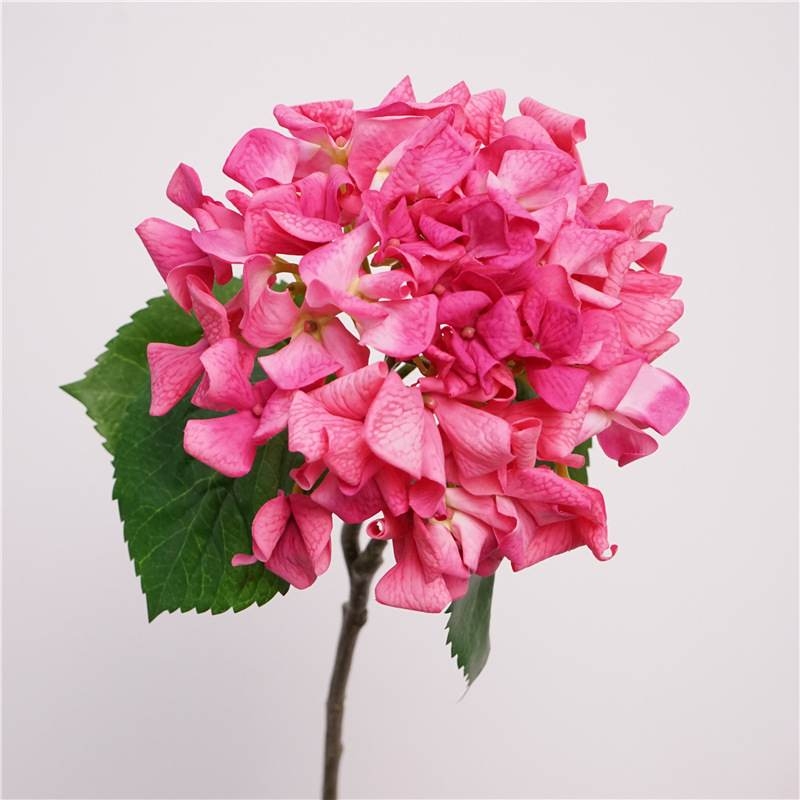 Soft-touch single hydrangea stem