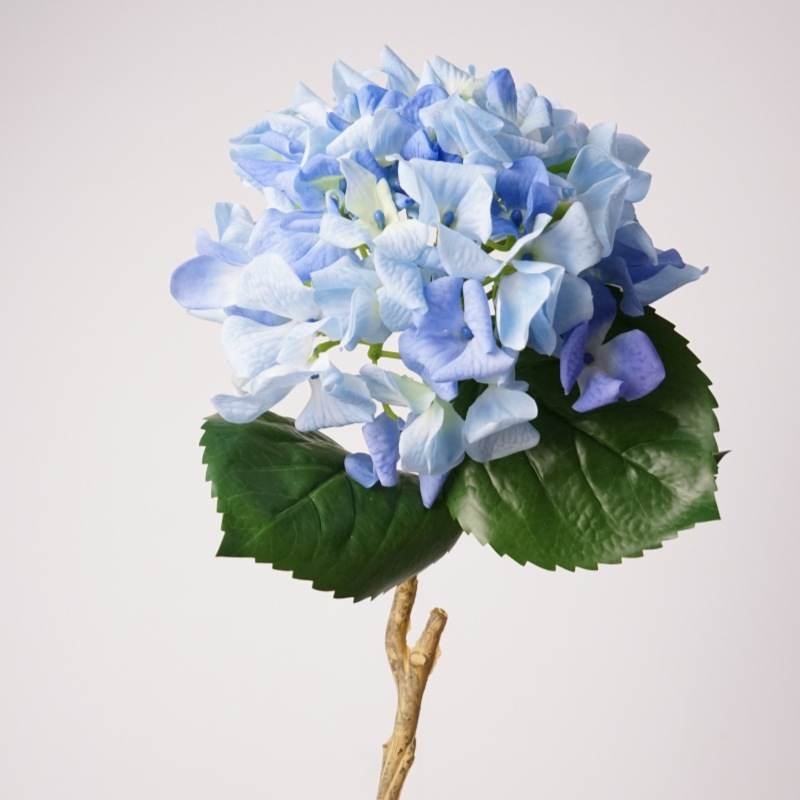 Soft-touch single hydrangea stem