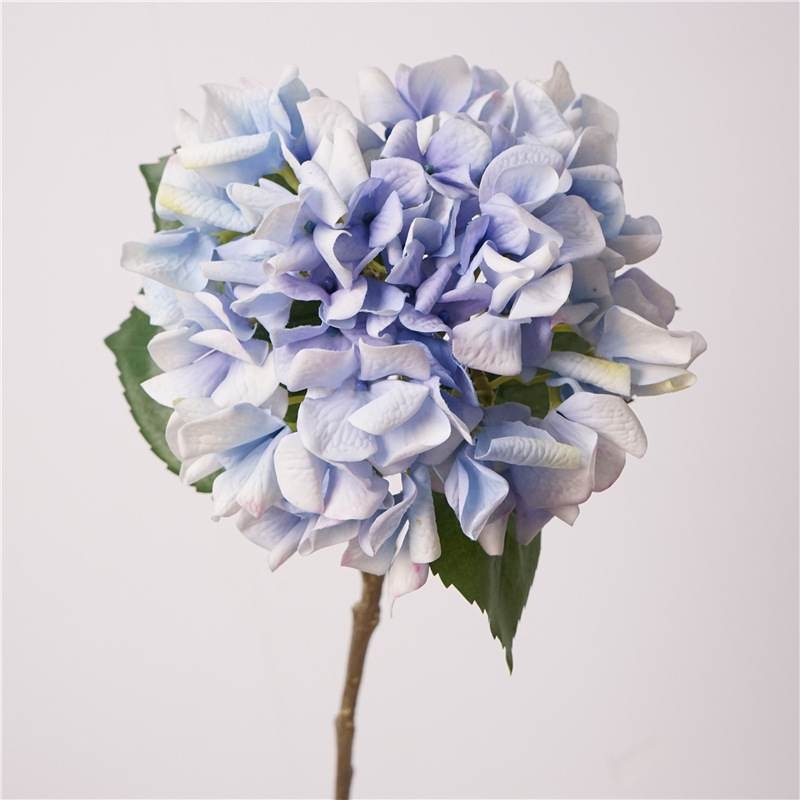 Soft-touch single hydrangea stem