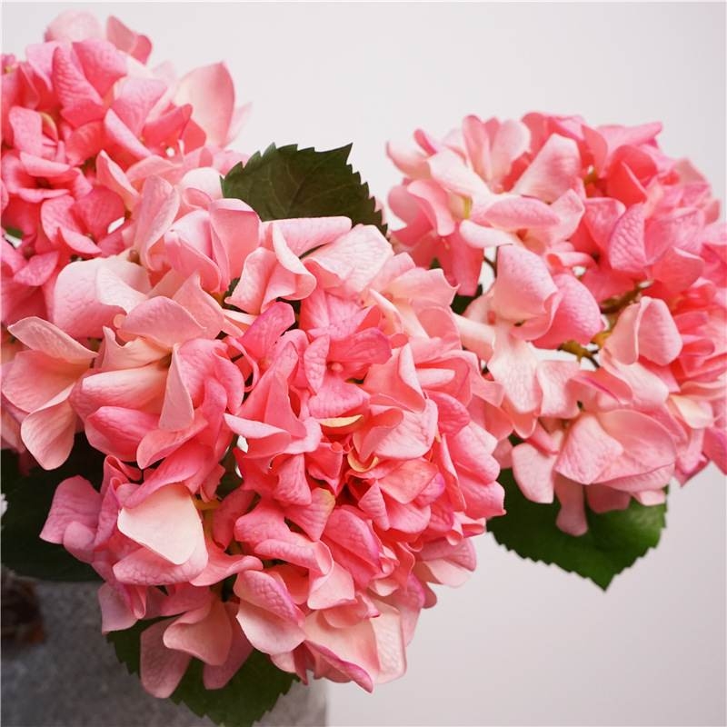 Soft-touch single hydrangea stem