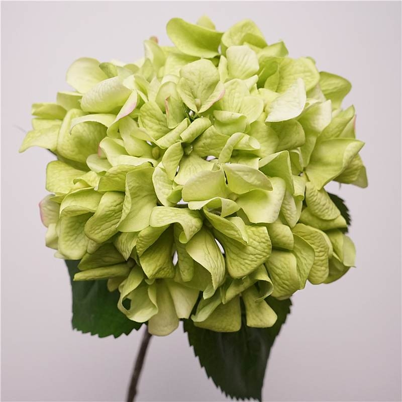 Soft-touch single hydrangea stem