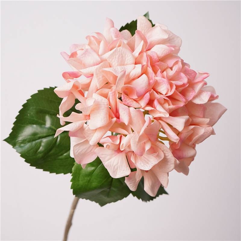 Soft-touch single hydrangea stem