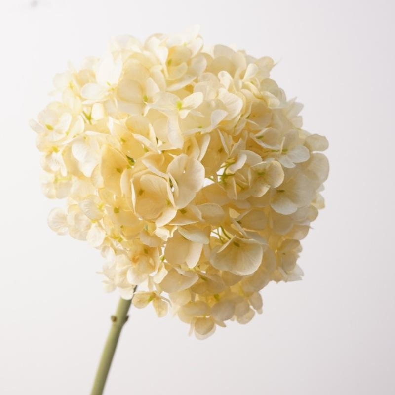 Artificial Dutch hydrangea