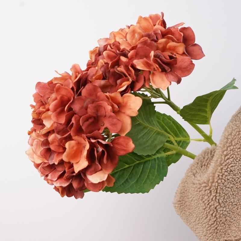 Soft-touch Hydrangea flowers