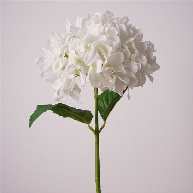 Soft-touch Hydrangea flowers