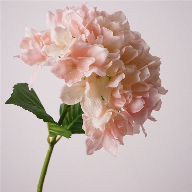 Soft-touch Hydrangea flowers