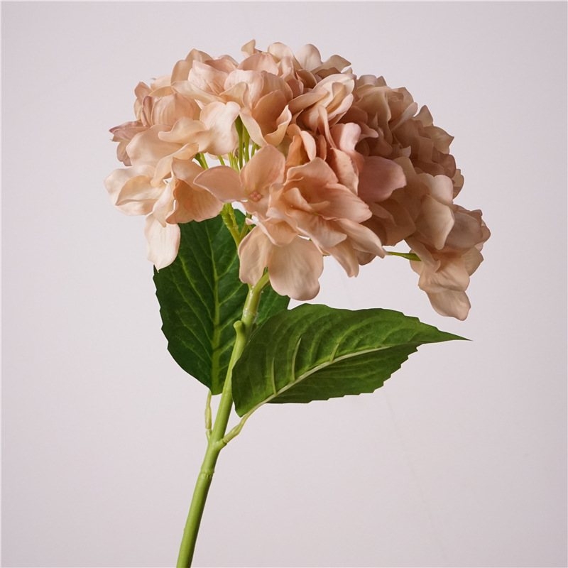Soft-touch Hydrangea flowers
