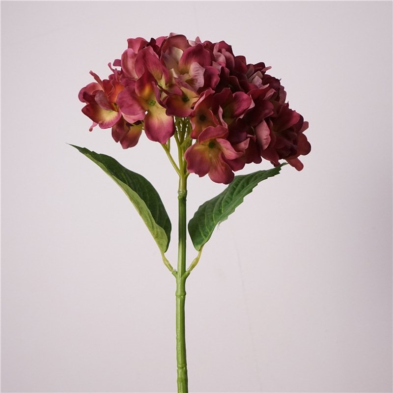 Soft-touch Hydrangea flowers